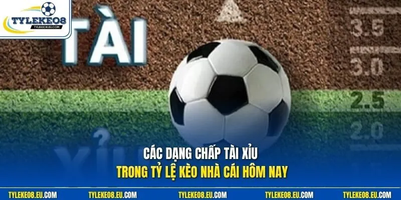 Các dạng chấp tài xỉu trong tỷ lệ kèo nhà cái hôm nay