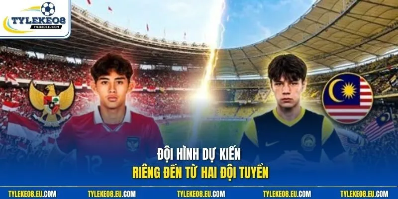 Đội hình dự kiến riêng đến từ hai đội tuyển