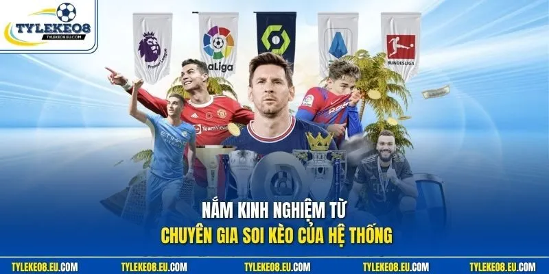 Nắm kinh nghiệm từ chuyên gia soi kèo của hệ thống