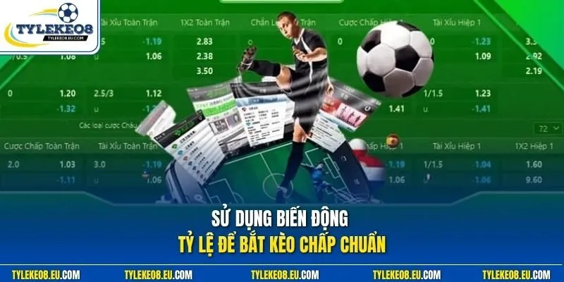 Sử dụng biến động tỷ lệ để bắt kèo chấp chuẩn