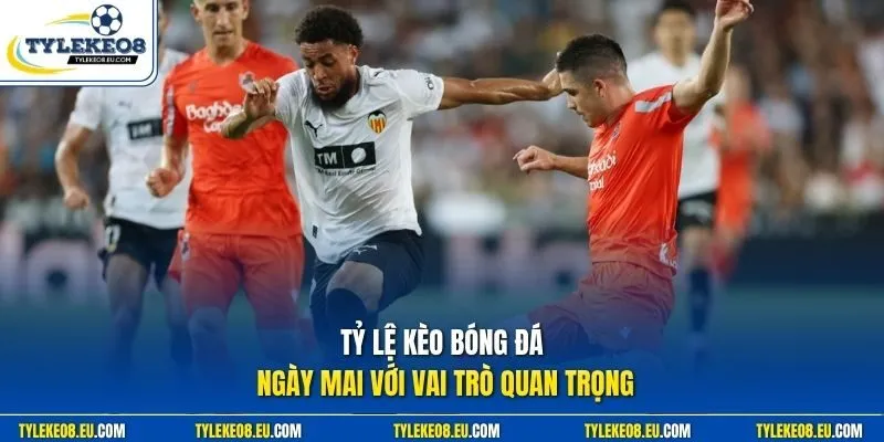 Tỷ lệ kèo bóng đá ngày mai với vai trò quan trọng